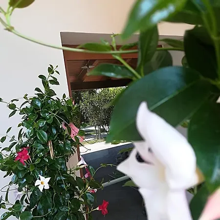 Country House Corte Antica 팜스테이 *