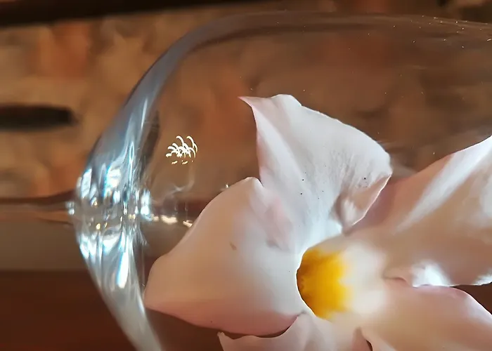 Country House Corte Antica مزرعة للإقامة روزيتو ديلي أبروتسي