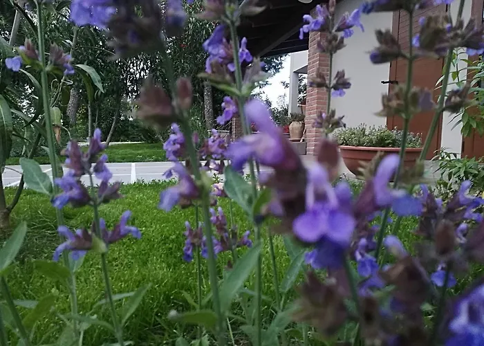 Country House Corte Antica *