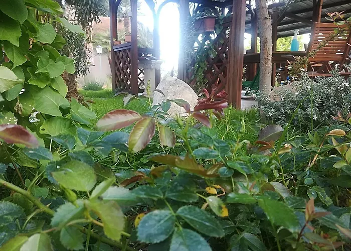 Country House Corte Antica مزرعة للإقامة