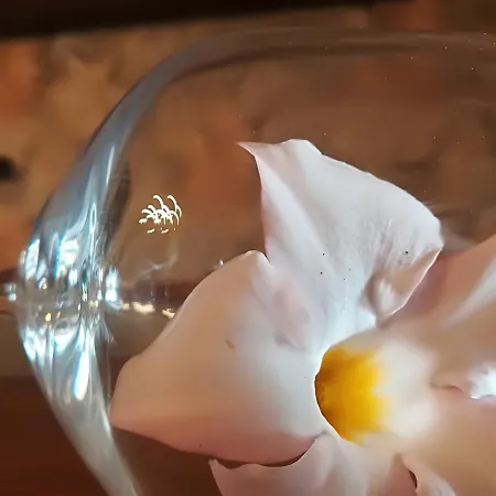 Country House Corte Antica Κατάλυμα σε φάρμα Roseto Degli Abruzzi