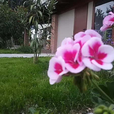 Country House Corte Antica 农家乐