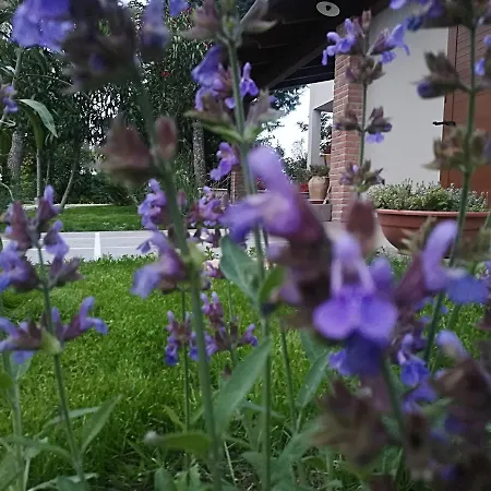 Country House Corte Antica *