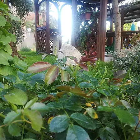 Country House Corte Antica Farm stay