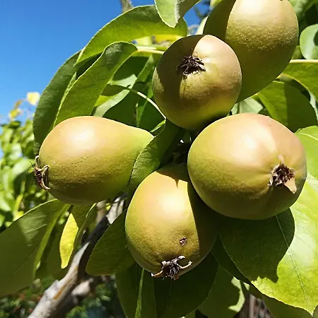 农家乐 Country House Corte Antica *