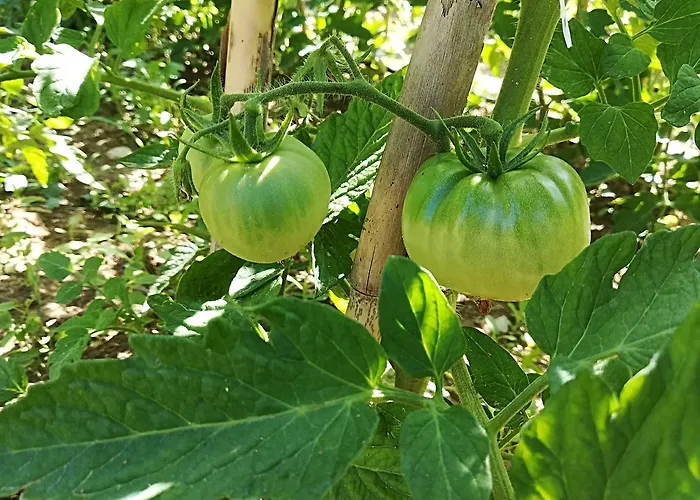 Country House Corte Antica *